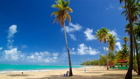 Rainforest & Luquillo Beach – Tours4Less PR