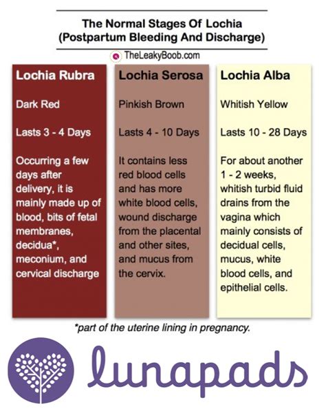 Everything You Need To Know About Postpartum Bleeding And Periods After ...