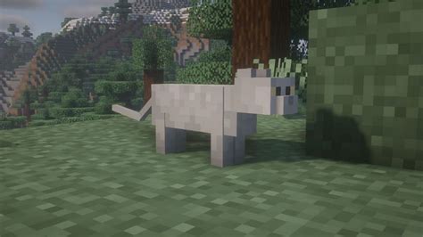 How to spawn cats in Minecraft