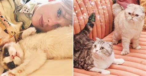 How Many Cats Does Taylor Swift Have? | POPSUGAR Celebrity