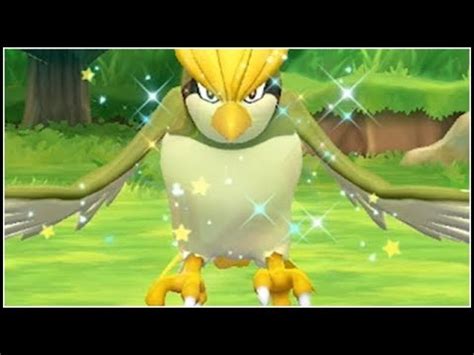 SHINY PIDGEOTTO! Pokemon Let's Go Eevee and Pikachu - YouTube