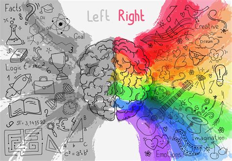 The Truth About Logical Left-Brainers vs. Creative Right-Brainers