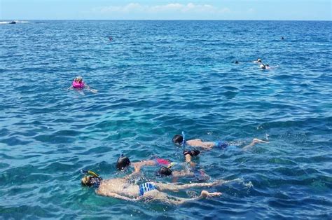 Kona snorkeling 🌴 5 Big Island beach snorkeling spots from shore for ...