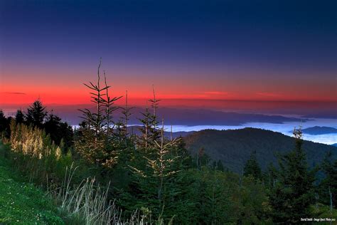 Clingmans Dome Sunrise | Dave Smith | Flickr