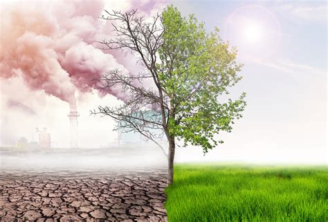 Climate change – preparing critical assets for the inevitable | Energy ...