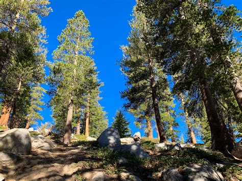 Hiking in Mammoth Lakes - Exploring Our World