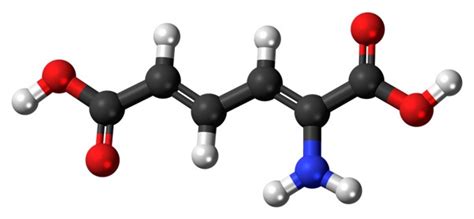 Peptide synthesis_03 | The Healthcare Guys