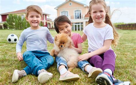 Dogs & Children: How To Teach Your Dog To Interact With Kids - Space ...