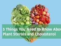 5 Things You Need to Know About Plant Sterols and Cholesterol – PurMEDICA