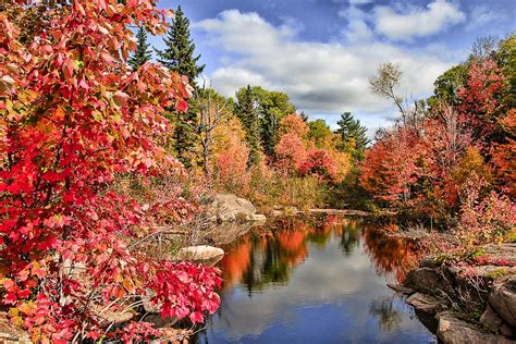 Canada Nature Autumn