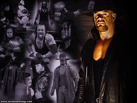 LEGENDS - wwe legends Wallpaper (7947850) - Fanpop