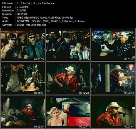 Toby Keith «I Love This Bar» VOB File