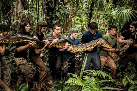 Do Anacondas think of size before suffocating its prey?