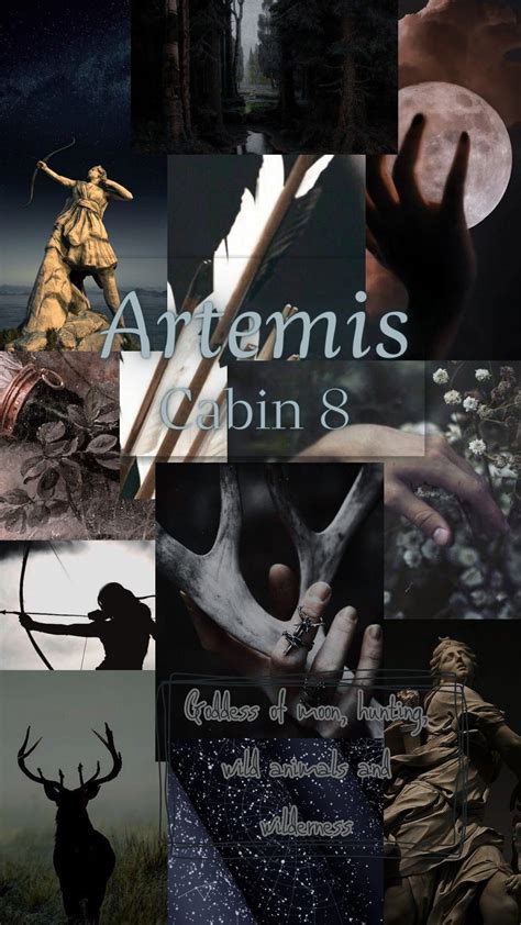 Artemis aesthetic cabin, Half-Bloof Camp, Percy Jackson Artemis Percy ...