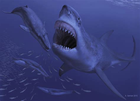 Otodus megalodon: The Jaws of Death - Darwin's Door