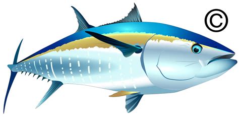 Tuna Fish Cartoon - ClipArt Best