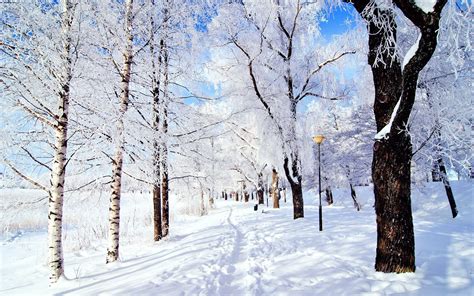 10 Snow Facts to Make You Feel Festive - The List Love