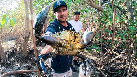 GIANT MUD CRAB Catch And Cook Camp Fire (Rock Knife And Flint) - Ep 90