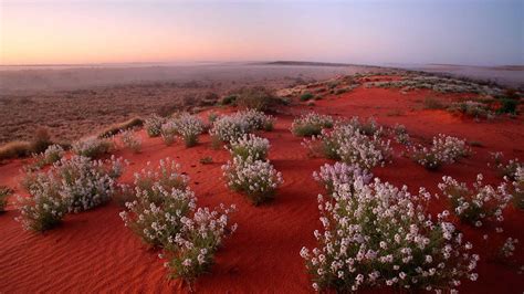 Outback Spirit | Holidays of Australia & the World - Great Rail, Cruise ...