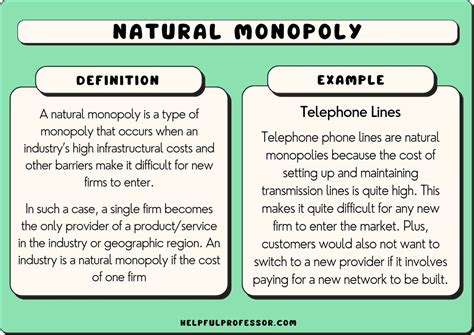 10 Natural Monopoly Examples (2024)