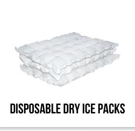 Disposable Dry ice packs Food and Medical Grade 6x4 1KG-Carton 350 ...