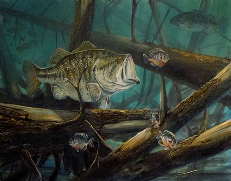 Largemouth Bass Painting by Scott Thompson - Fine Art America