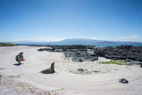 How and When Were the Galapagos Islands Discovered?