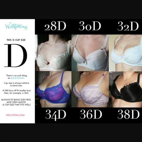 What do 32D breasts look like? - Quora in 2020 | Bra, Bra fitting ...