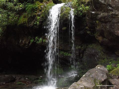 The Many Waterfalls of Great Smoky Mountains National Park