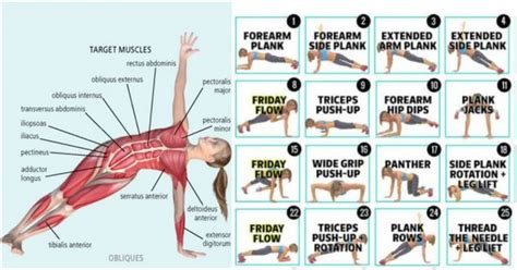 Variation Of 6 Side Planks For A Strong Defined Core - GymGuider.com