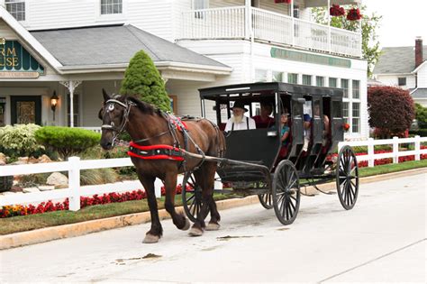 Amish Country Tour - Shipshewana, IN | Sunshine Tours