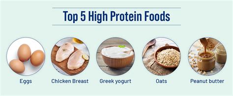 Top 5 High Protein Foods