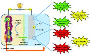 Oxygen reduction reaction catalysts used in microbial fuel cells for ...