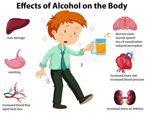 Effects of Alcohol on the Body Stock Vector - Illustration of ...