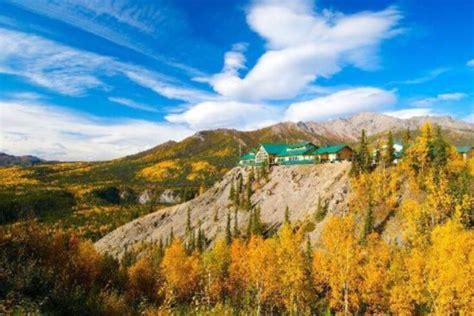 Where To Stay In Denali National Park? 14 Best Denali Hotels - National ...