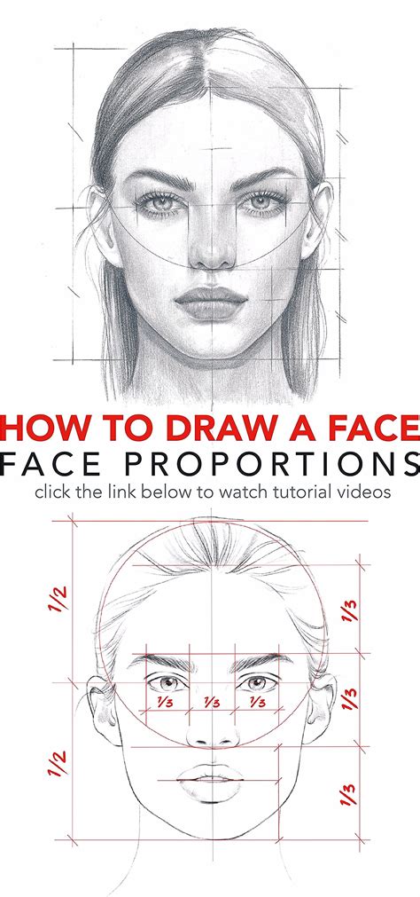 Drawing Face Proportions