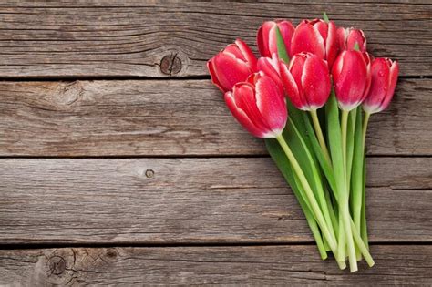 Premium Photo | Red tulip flowers bouquet