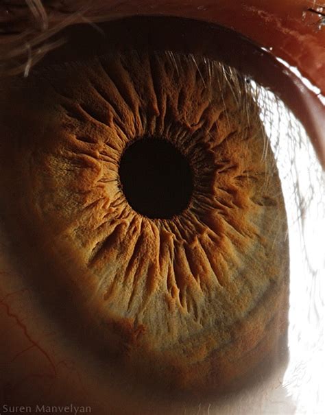 The Science Behind These Amazing Photographs of the Human Eye | Smart ...