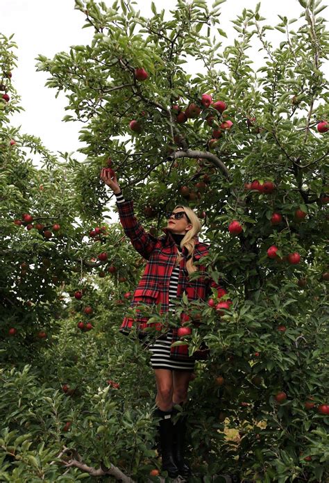 apple picking // fall | Apple picking outfit, Apple picking fall ...