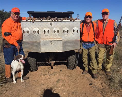 Quail Hunting - Guided Quail Hunts in Texas | Schmidt Double T Ranches