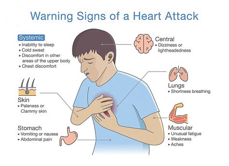 Learn More About Heart Disease | Lifeguarding Academy