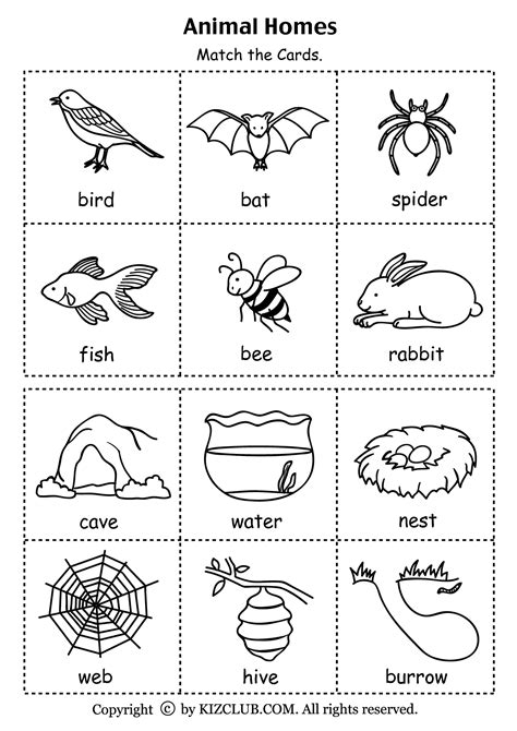 Animal Homes Worksheet Free Printable | Preschool science, Kindergarten ...