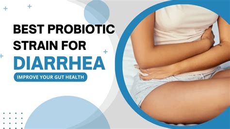 4 Best Probiotic Strain for Diarrhea - Benefits Explained