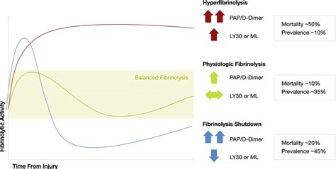 Relation between Fibrinolytic Activity and D-dimers / VET values ...