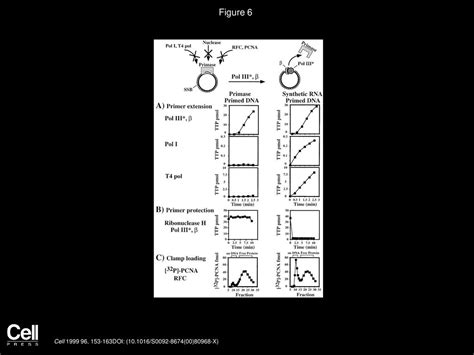 Trading Places on DNA—A Three-Point Switch Underlies Primer Handoff ...