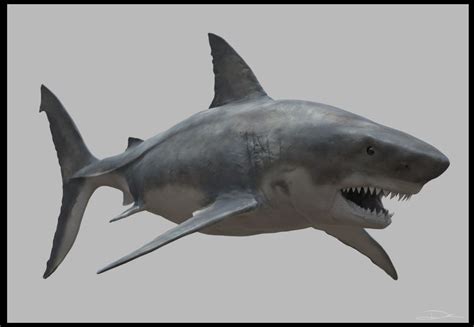 Kirouac Learns To Sculpt: Shark Texture WorkInProgress