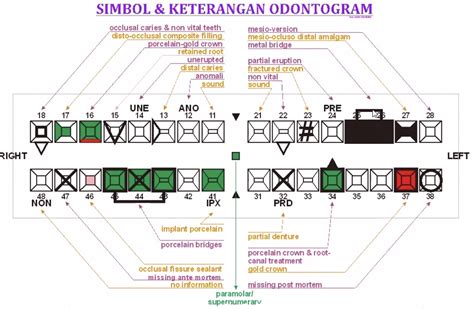 Kaidah Penulisan Odontogram: Standar Penulisan dan Kode di Indonesia ...