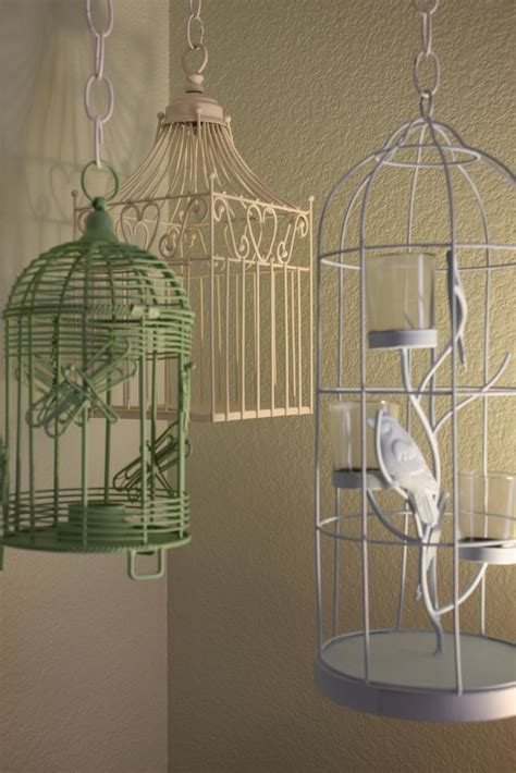 Bird In Everything: Types Of Bird Cages