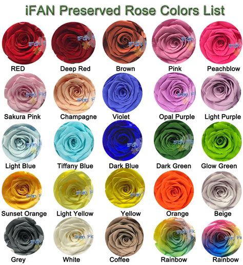 Preserved Flower Real Multi Color Rose 100% Fresh Natural Long Life ...