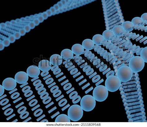 Dna Digital Data Storage Process Encoding Stock Illustration 2111839568 ...